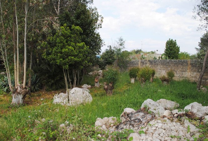 Trepuzzi - Via Surbo